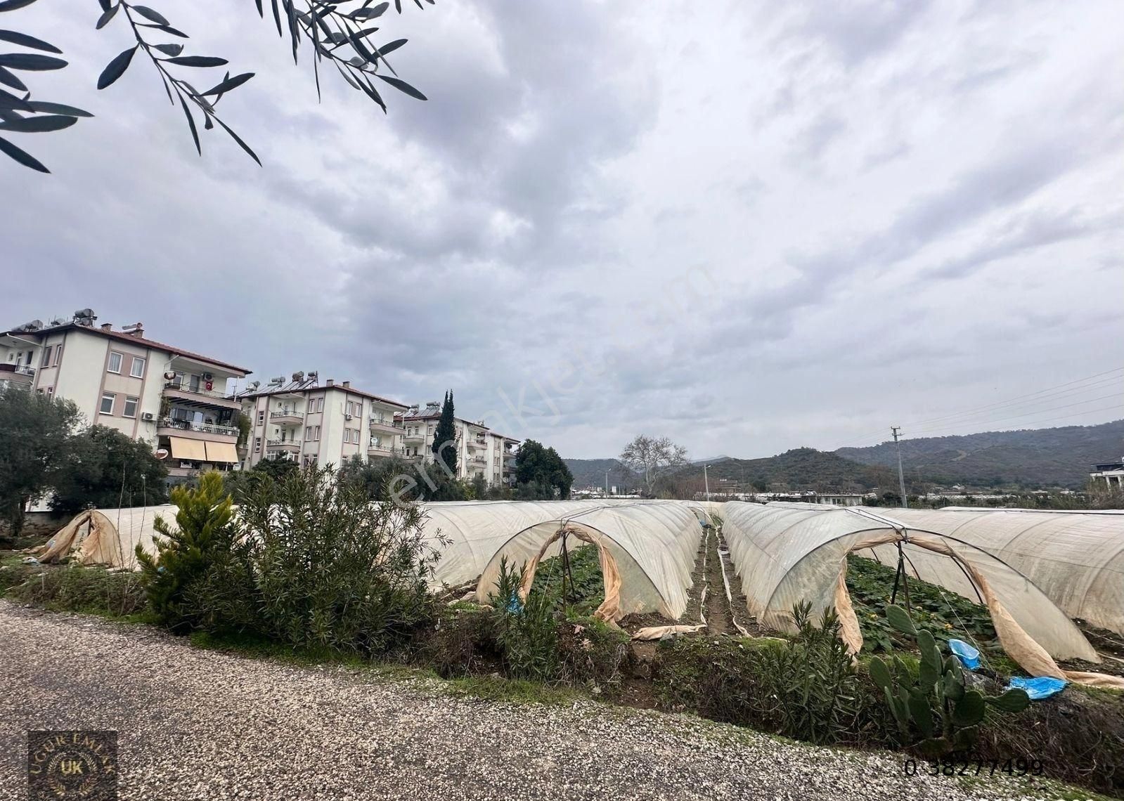 Fethiye Karagedik Satılık Tarla Fethiye Günlükbaşı Şeytanlı Mevki Müstakil Tapu Satılık Tarla