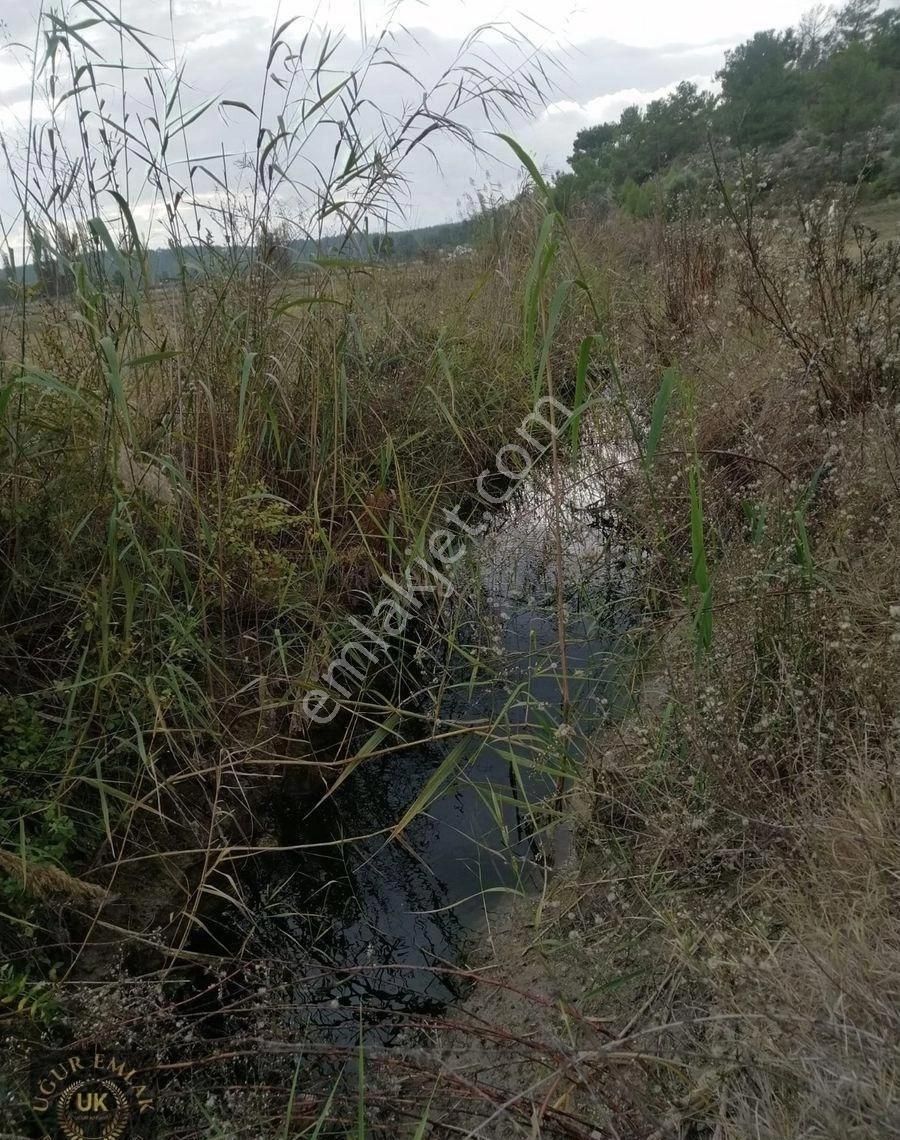 Seydikemer Korubükü Satılık Tarla Seydıkemer Korubükü Mah.hobi Bahçesi Yapımına Uygun Arazi