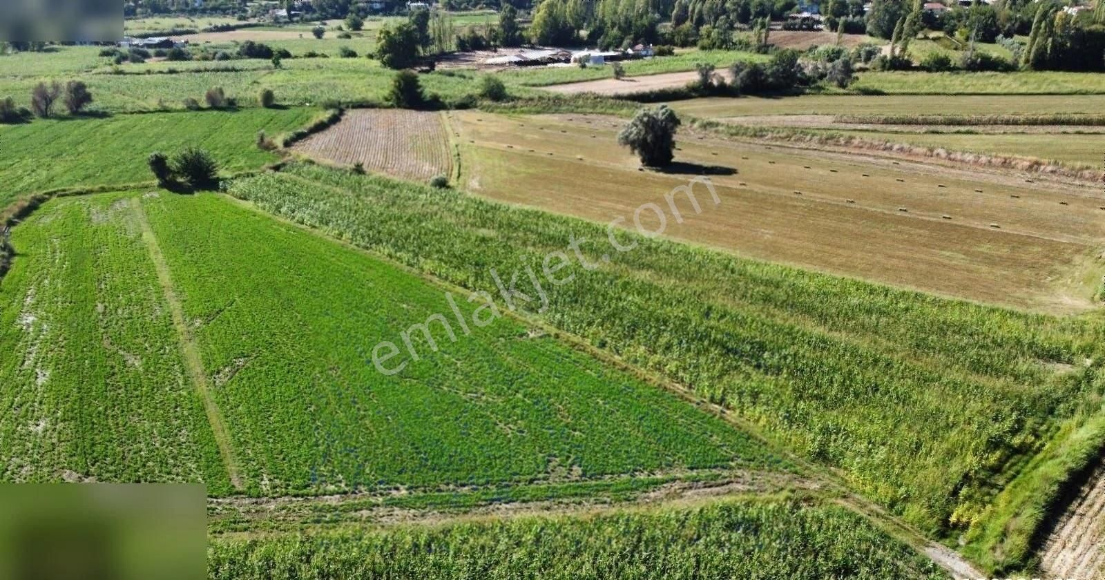 Seydikemer Çobanlar Satılık Tarla Seydikemer Çobanlar Mahallesinde 2770m2 Tek Tapu Kupon Arazi