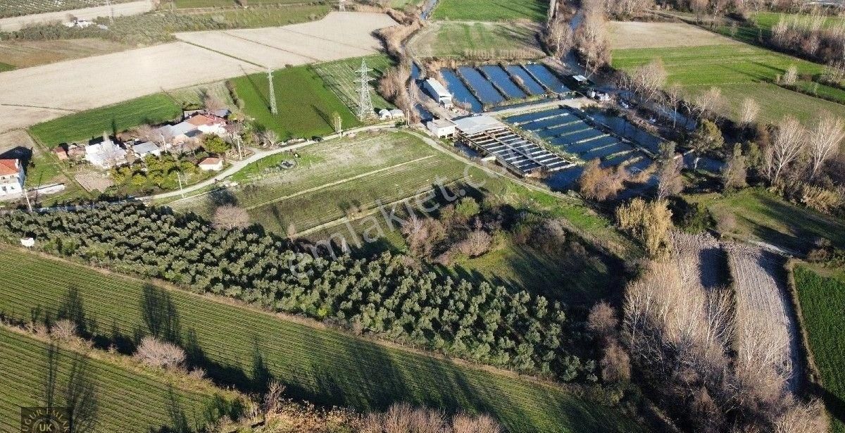 Seydikemer Örende 10800 M2 İfraza Uygun Satılık Müstakil Arazi - Görsel 4