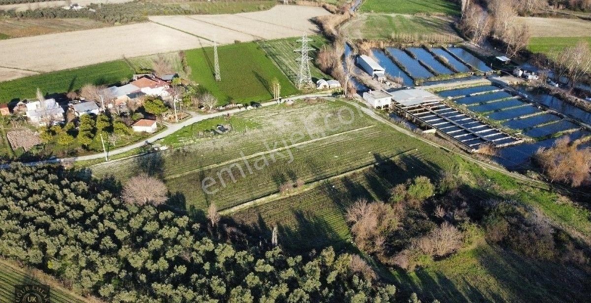 Seydikemer Örende 10800 M2 İfraza Uygun Satılık Müstakil Arazi - Görsel 10