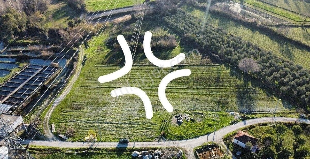 Seydikemer Örende 10800 M2 İfraza Uygun Satılık Müstakil Arazi - Görsel 2