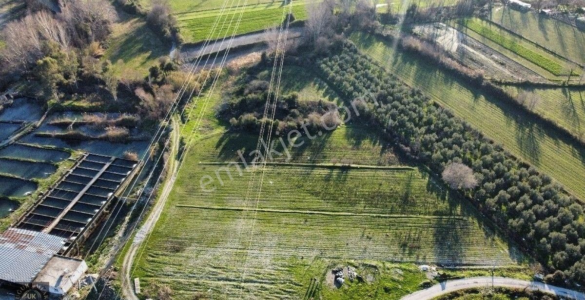 Seydikemer Örende 10800 M2 İfraza Uygun Satılık Müstakil Arazi - Görsel 3