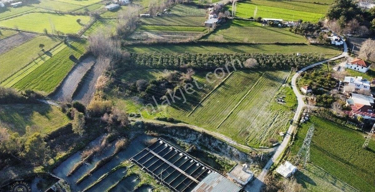 Seydikemer Örende 10800 M2 İfraza Uygun Satılık Müstakil Arazi - Görsel 18