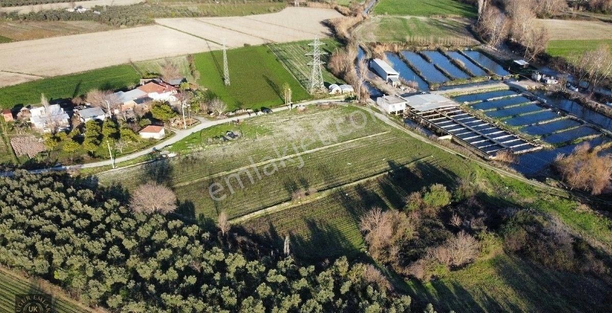 Seydikemer Örende 10800 M2 İfraza Uygun Satılık Müstakil Arazi - Görsel 8