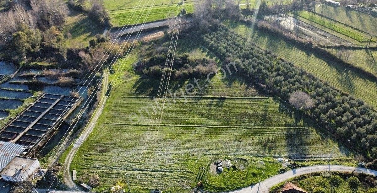 Seydikemer Örende 10800 M2 İfraza Uygun Satılık Müstakil Arazi - Görsel 5