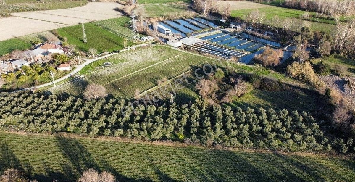 Seydikemer Örende 10800 M2 İfraza Uygun Satılık Müstakil Arazi - Görsel 26