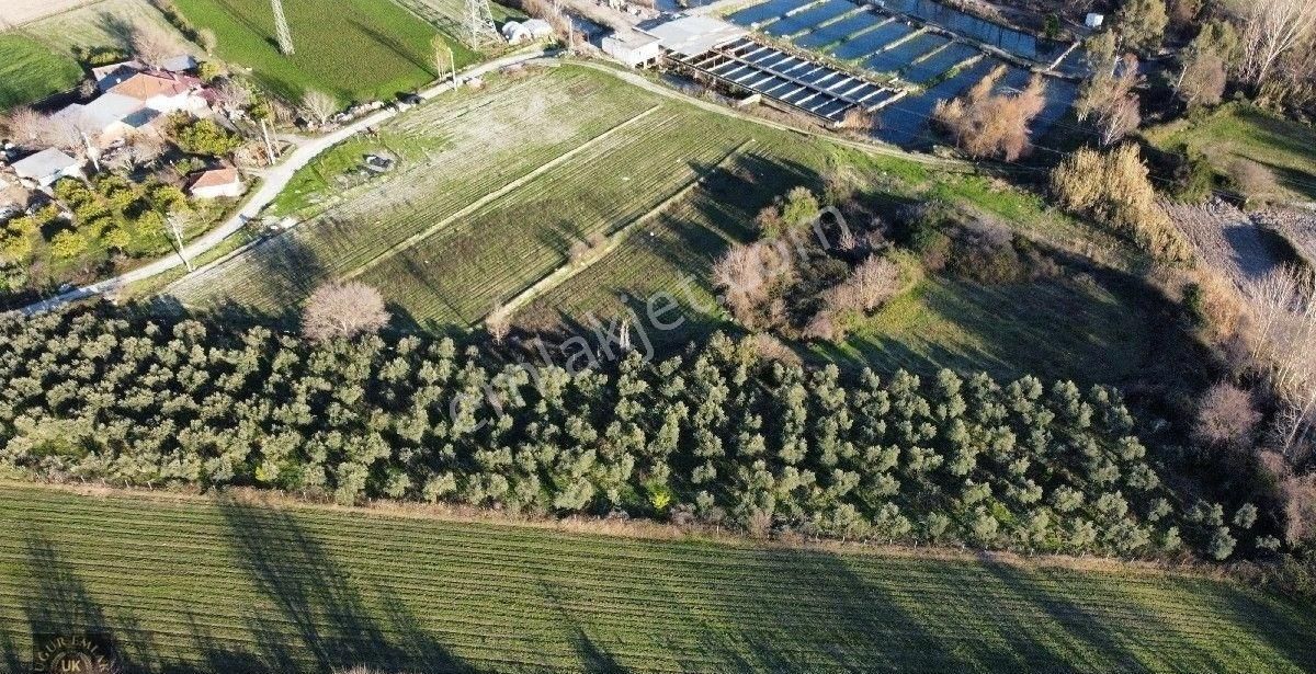 Seydikemer Örende 10800 M2 İfraza Uygun Satılık Müstakil Arazi - Görsel 28
