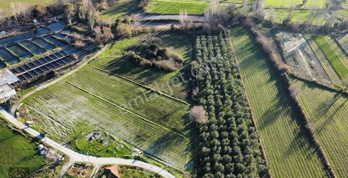 Seydikemer Örende 10800 M2 İfraza Uygun Satılık Müstakil Arazi - Görsel 24