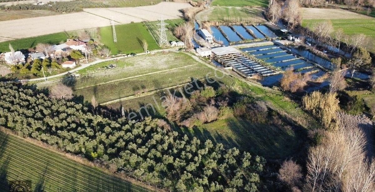 Seydikemer Örende 10800 M2 İfraza Uygun Satılık Müstakil Arazi - Görsel 17