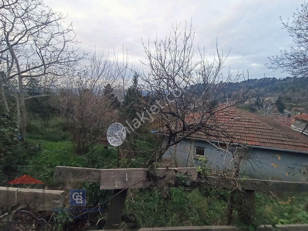 Üsküdar Kuleli Satılık Muhtelif Arsa Üsküdar Kuleli Satılık Tek Katlı Müstakil Ev Ve Arsası