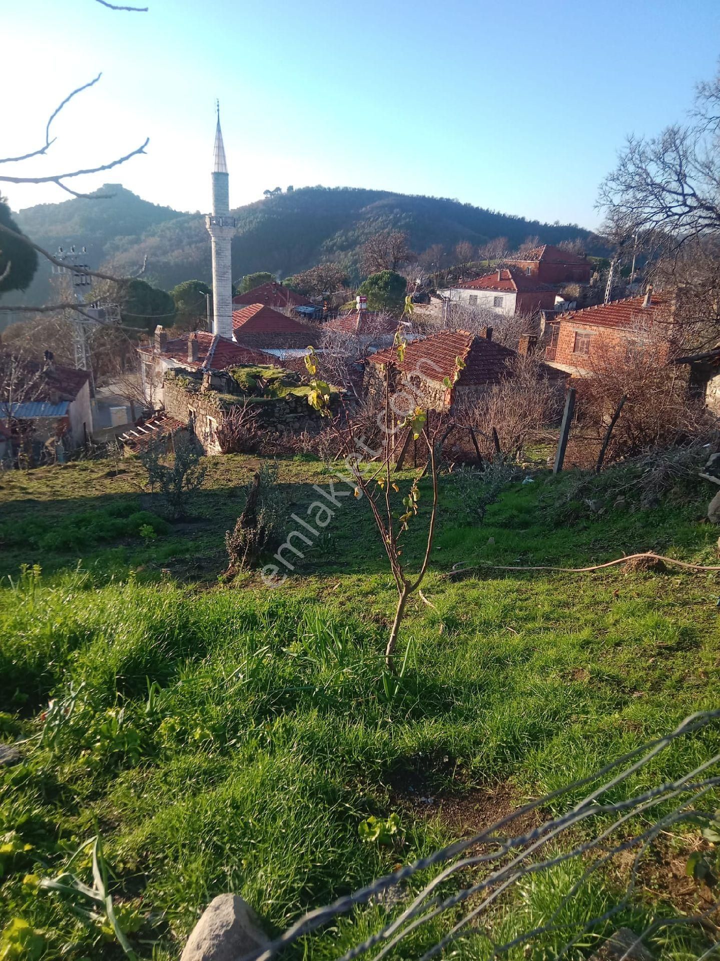 Bergama Pireveliler Satılık Daire Satılık Müstakil Köy Evi