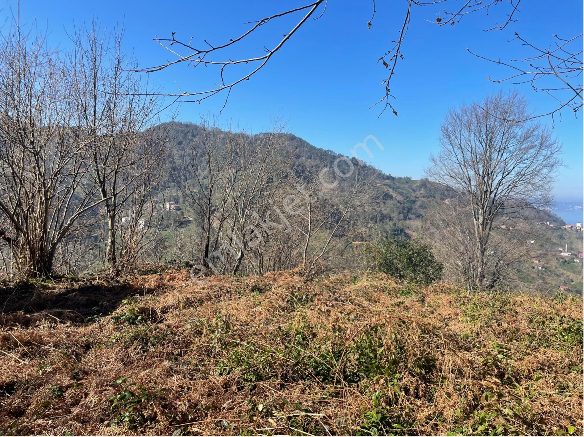 Elite Gayrimenkulden Sürmene Baştımarda Panaromik Manzaralı Satılık 2780 M2 Arazi - Görsel 22