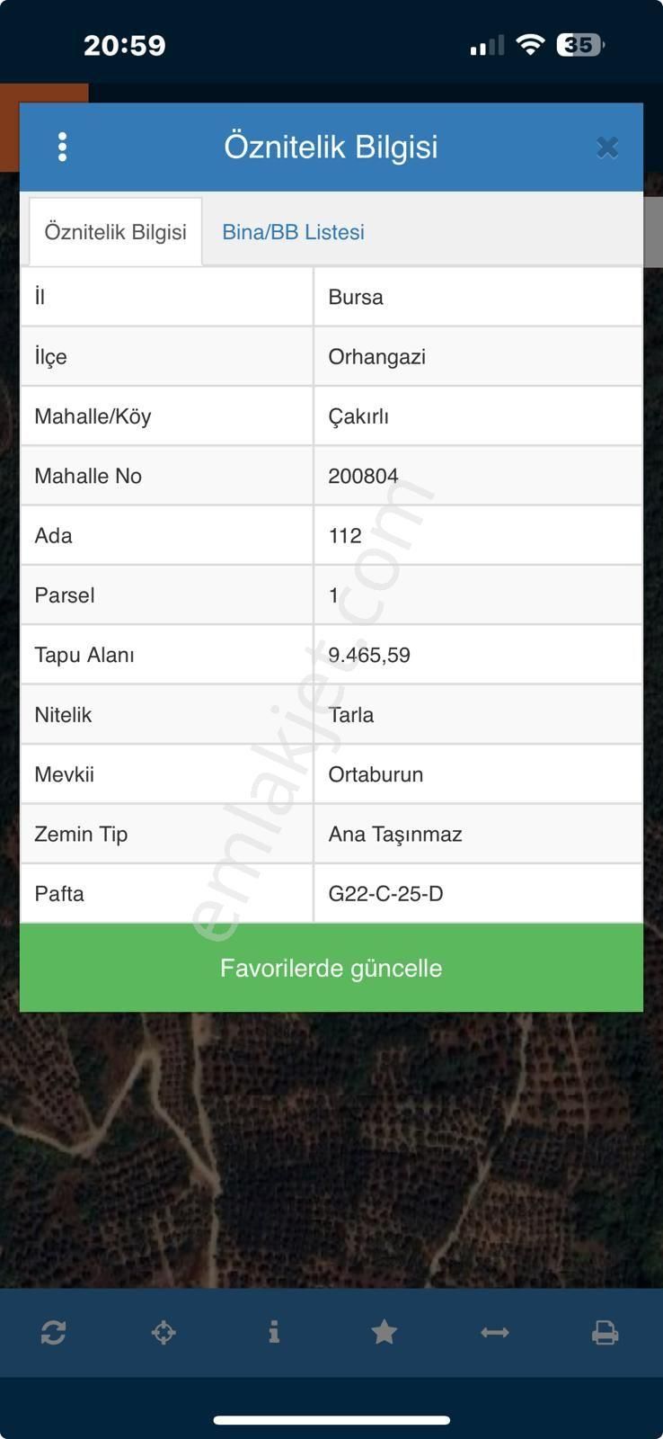 Çakırlı Da İznik Gölü Manzaralı Zeytinlik - Görsel 3