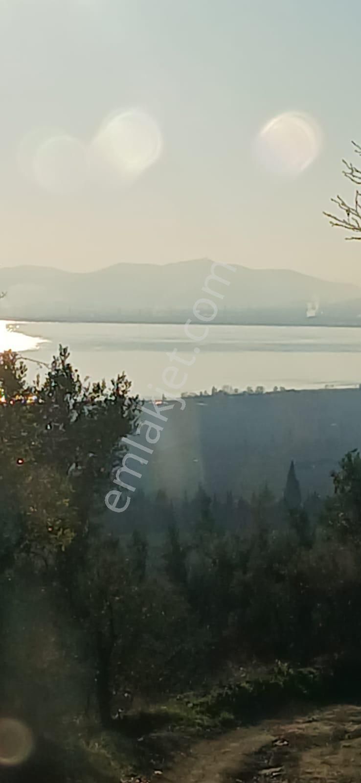 Çakırlı Da İznik Gölü Manzaralı Zeytinlik - Görsel 12