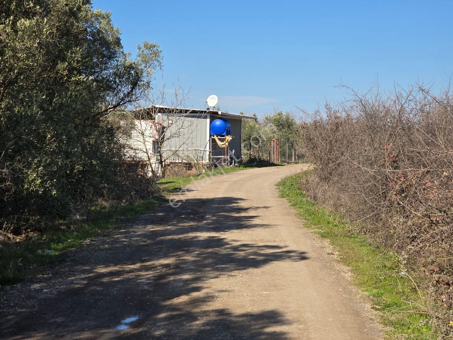 Bursa / Mudanya/kumyaka - Görsel 9