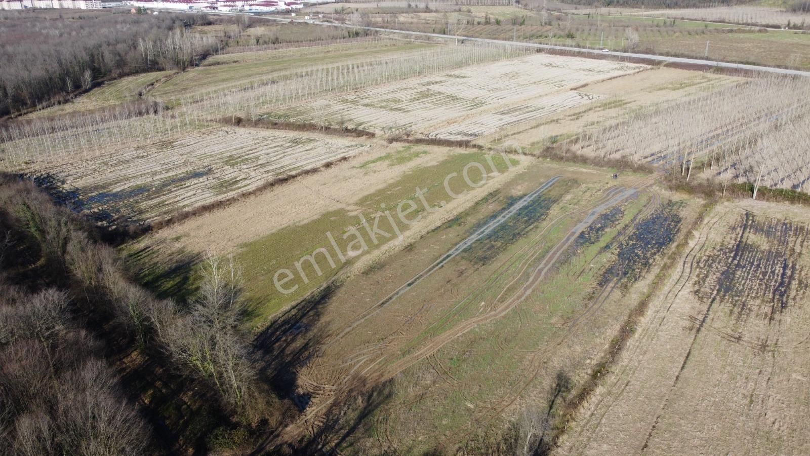 Salıpazarı Yenicezaevi Yolunda 2.031 M2 Yatırımlık Satılık Düz Tarla - Görsel 17