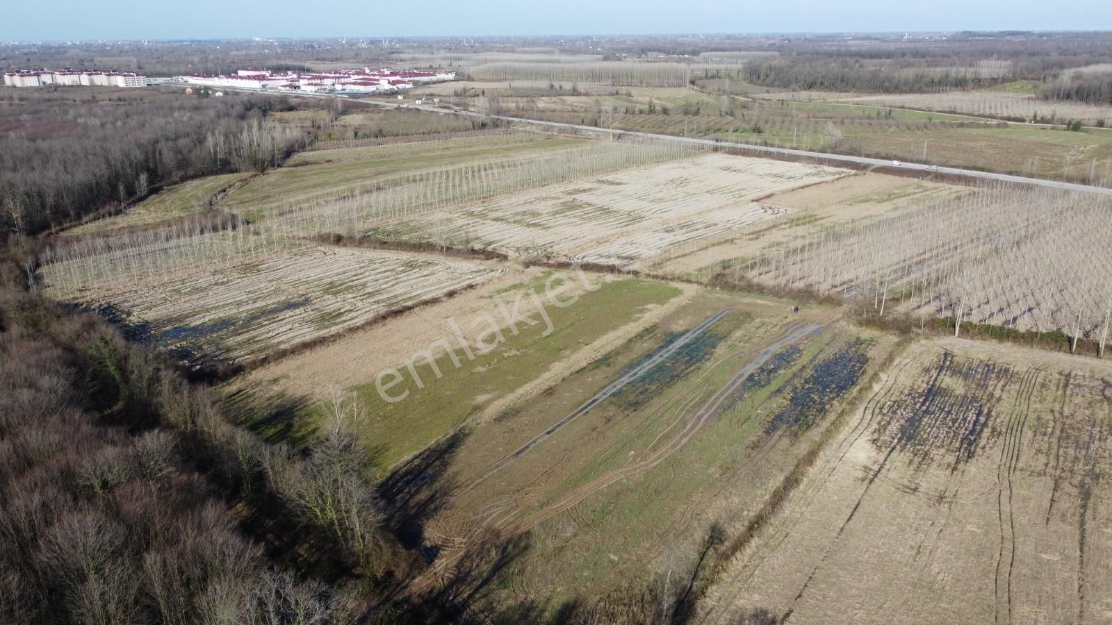 Salıpazarı Yenicezaevi Yolunda 2.031 M2 Yatırımlık Satılık Düz Tarla - Görsel 11