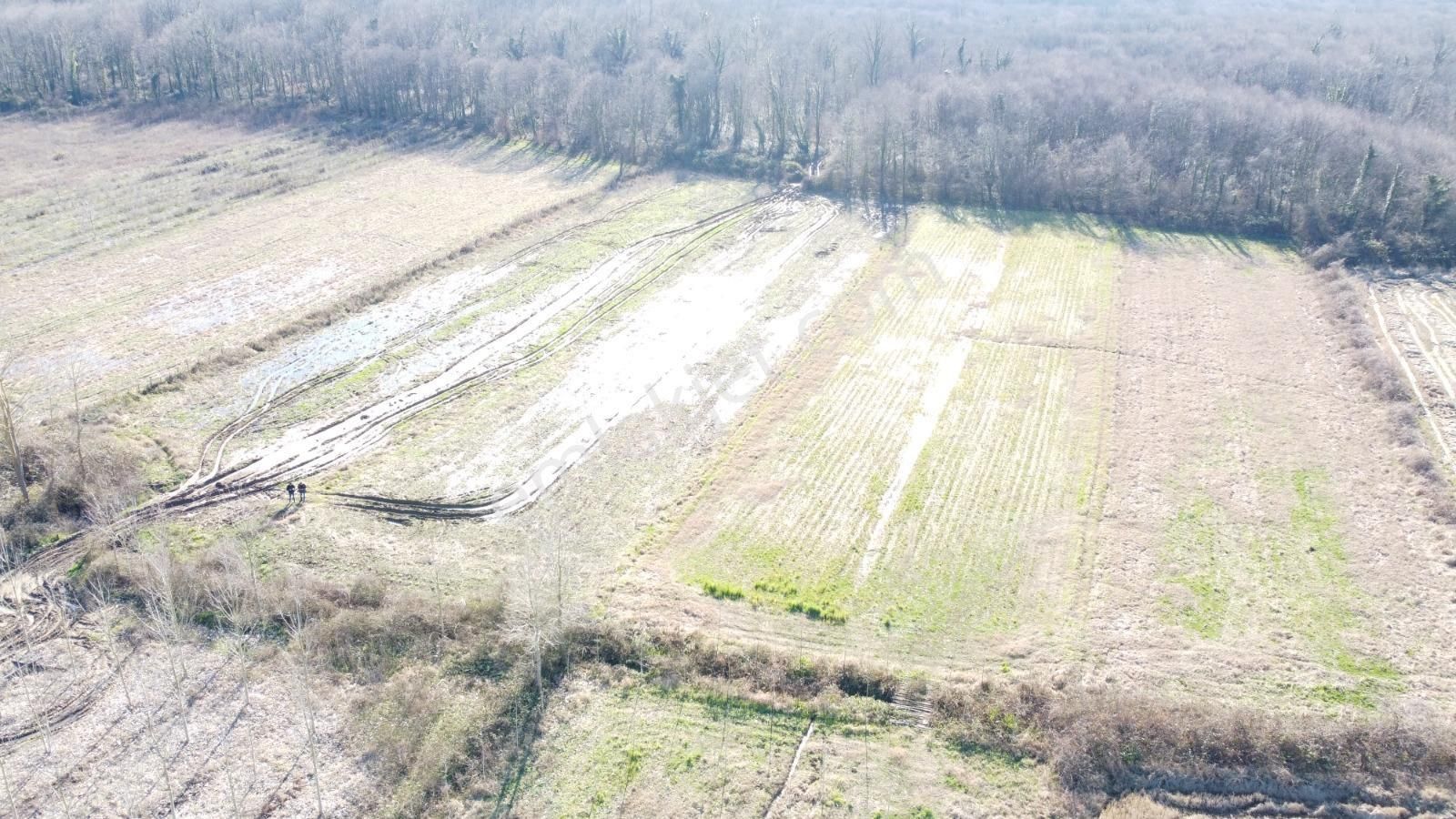 Salıpazarı Yenicezaevi Yolunda 2.031 M2 Yatırımlık Satılık Düz Tarla - Görsel 7