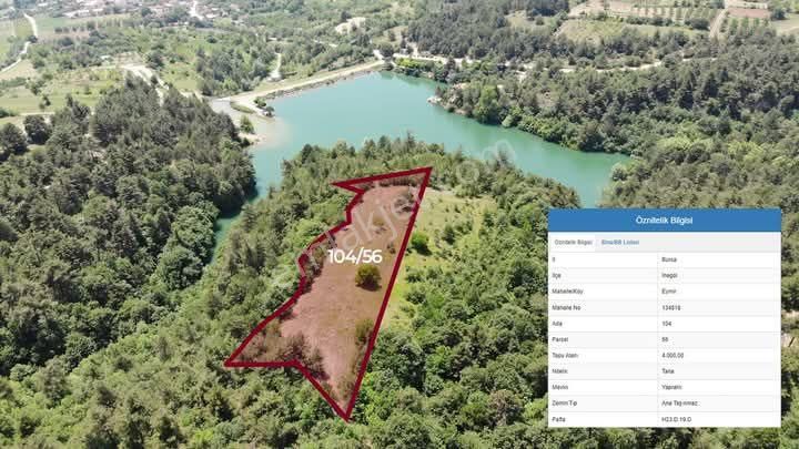İnegöl Eymir Köyünde Satılık Bölünebilir Araziler - Görsel 4