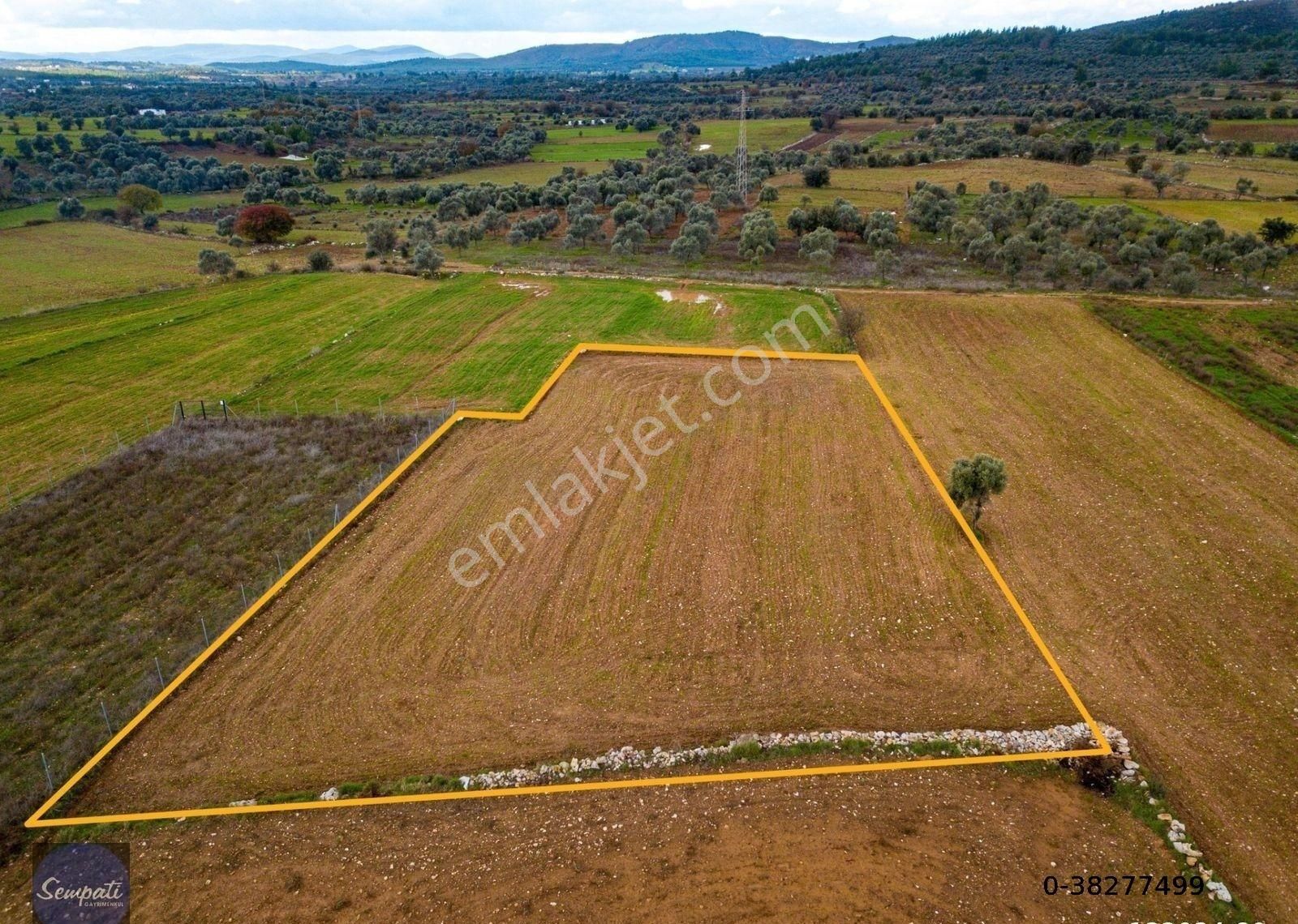 Milas Söğütçük Satılık Tarla Söğütcük'te Satılık İmara 500m, Yola Yakın Düz Verimli Arazi