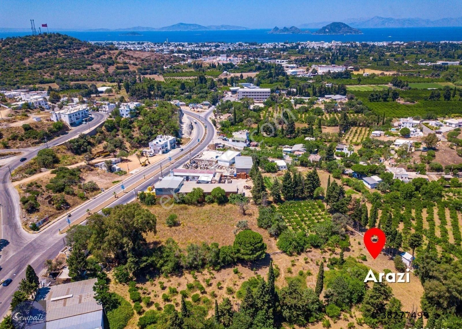 Bodrum Bahçelievler Satılık Bağ & Bahçe Turgutreis Satılık Doğanın Kalbinde 2.140m2 Narenciye Bahçesi