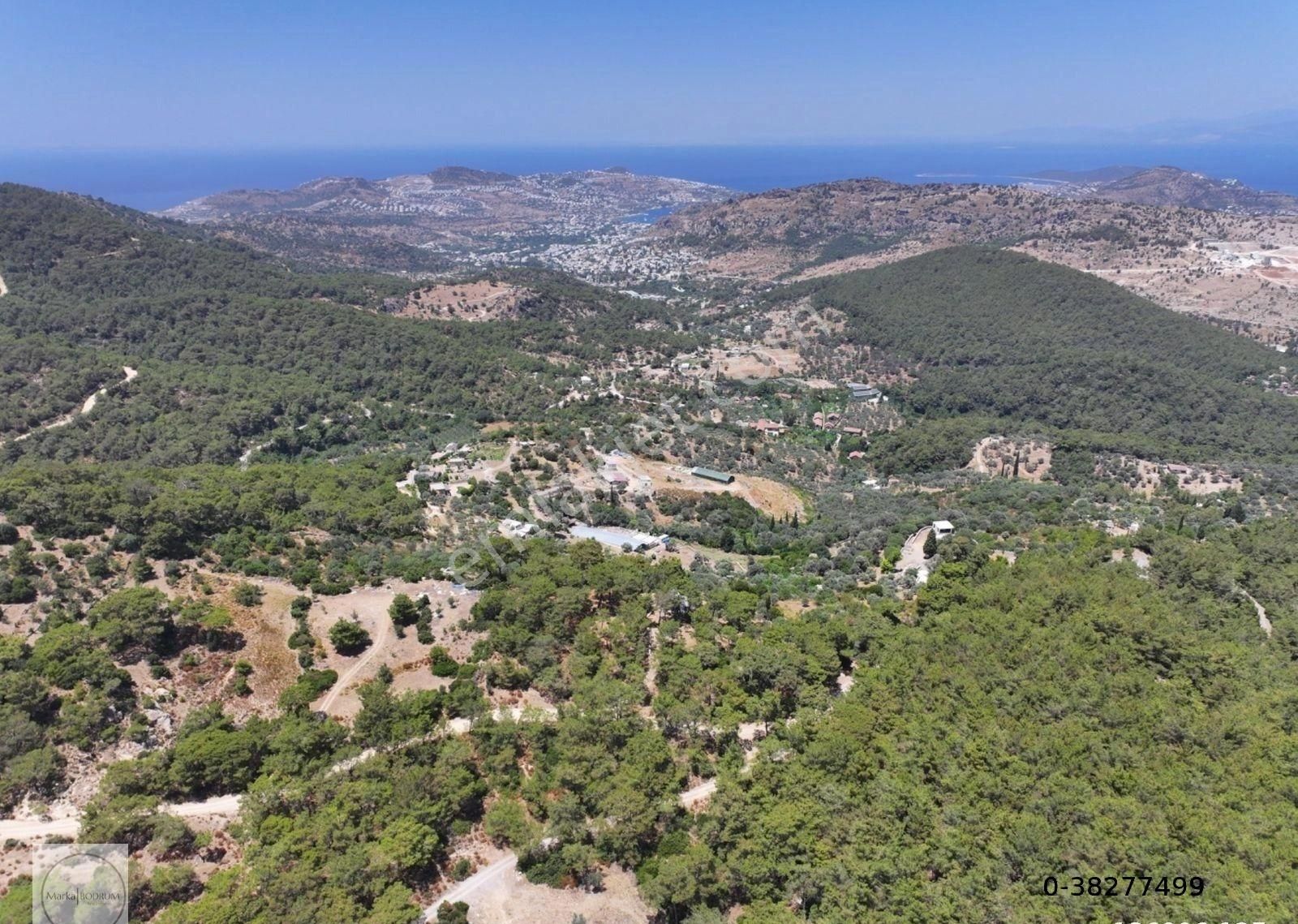 Bodrum Farilya Satılık Tarla Bodrum Gündoğan'da 8.602m² Satılık Tarla