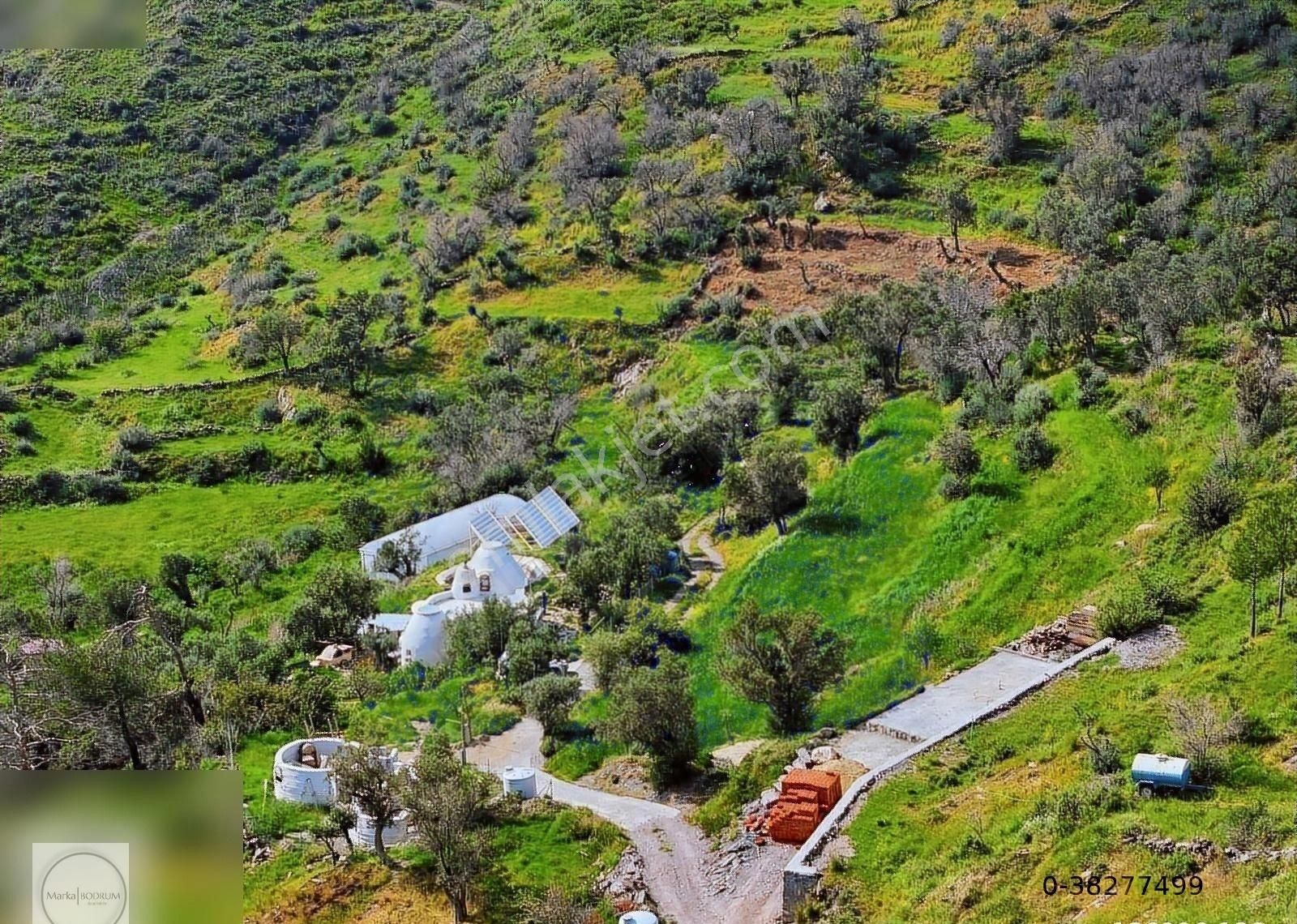 Bodrum Gökpınar Satılık Zeytinlik Bodruma 30km Mesafede Tek Tapu Yatırımlık Tarla