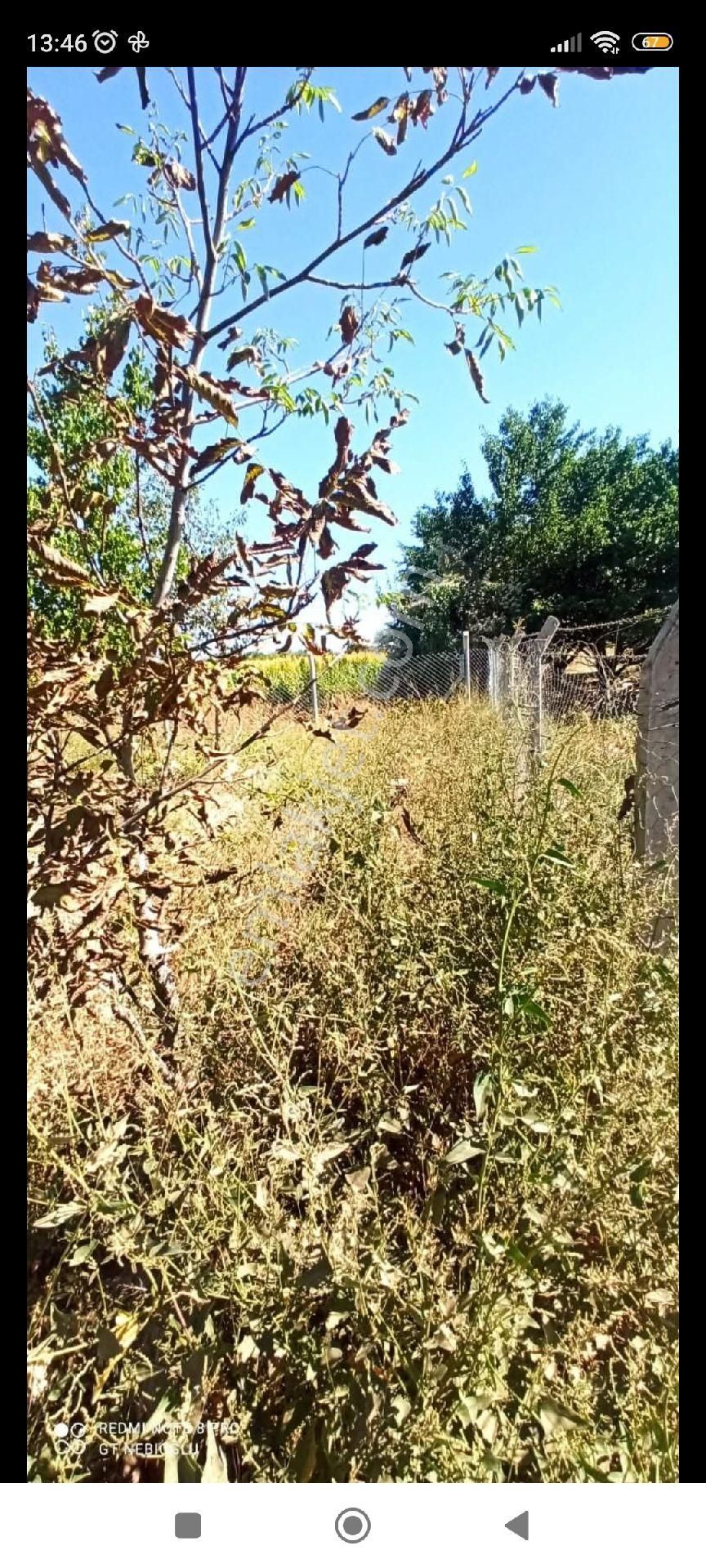 Kaçmaz Emlaktan Yeşilhisarda Satılık Evli Bahçe 2.5 Dönüm - Görsel 11