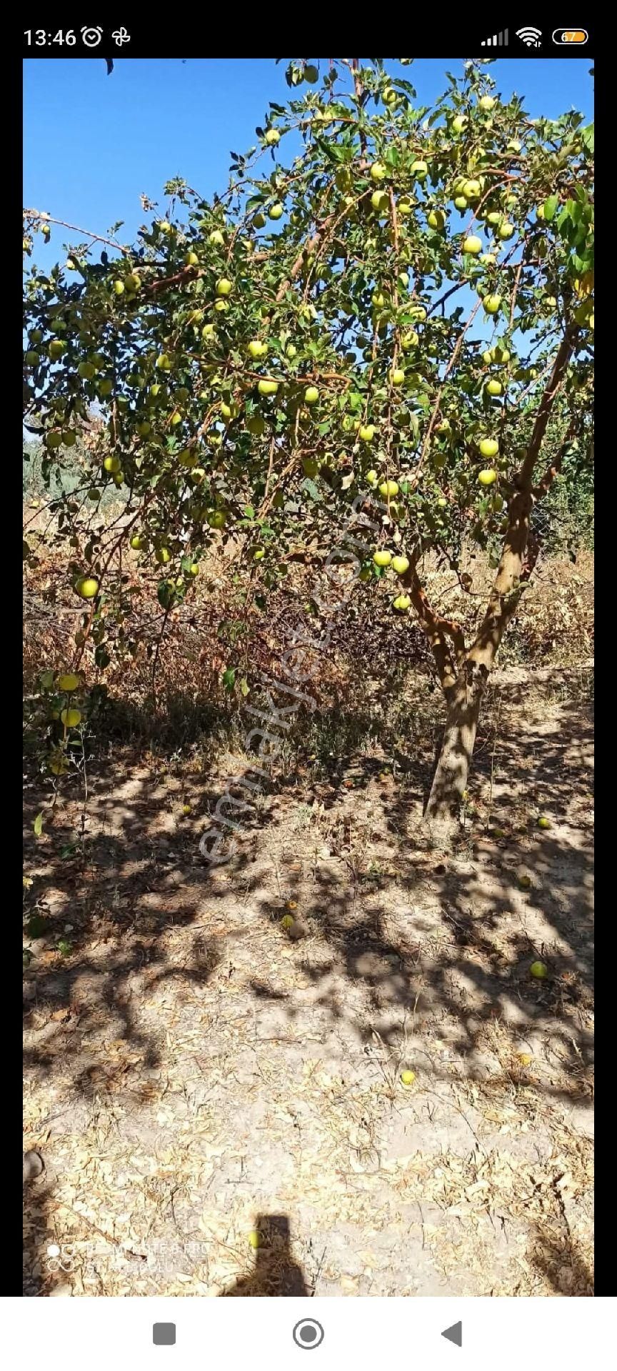 Kaçmaz Emlaktan Yeşilhisarda Satılık Evli Bahçe 2.5 Dönüm - Görsel 14