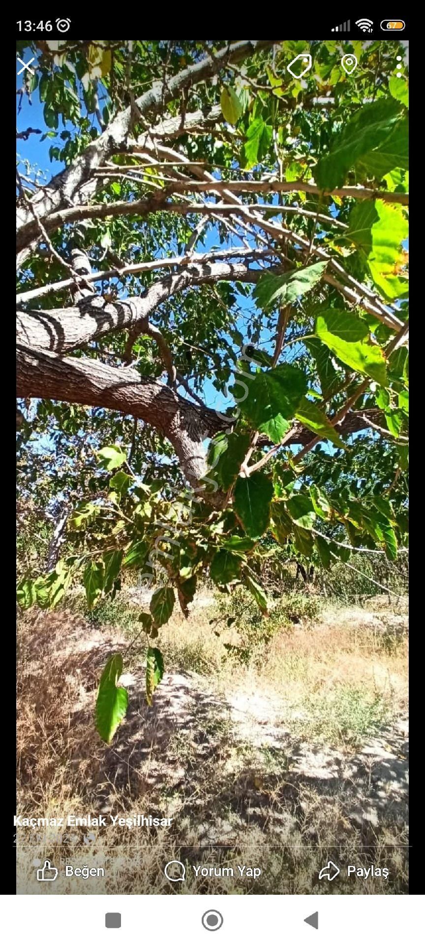 Kaçmaz Emlaktan Yeşilhisarda Satılık Evli Bahçe 2.5 Dönüm - Görsel 6