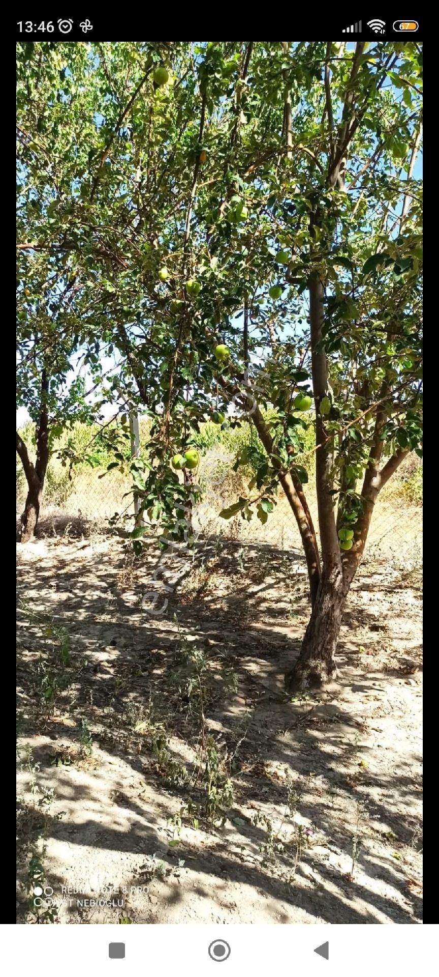 Kaçmaz Emlaktan Yeşilhisarda Satılık Evli Bahçe 2.5 Dönüm - Görsel 5