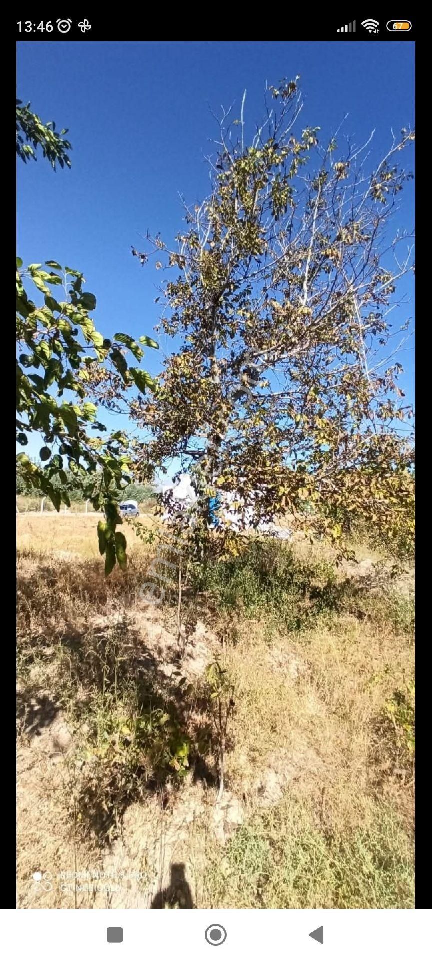 Kaçmaz Emlaktan Yeşilhisarda Satılık Evli Bahçe 2.5 Dönüm - Görsel 9