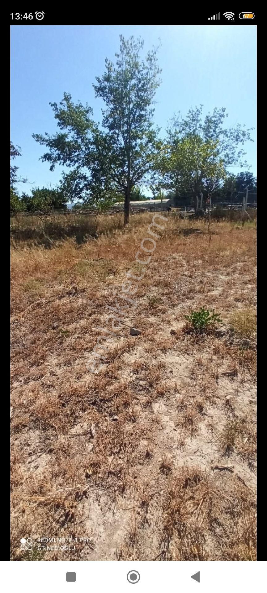 Kaçmaz Emlaktan Yeşilhisarda Satılık Evli Bahçe 2.5 Dönüm - Görsel 15