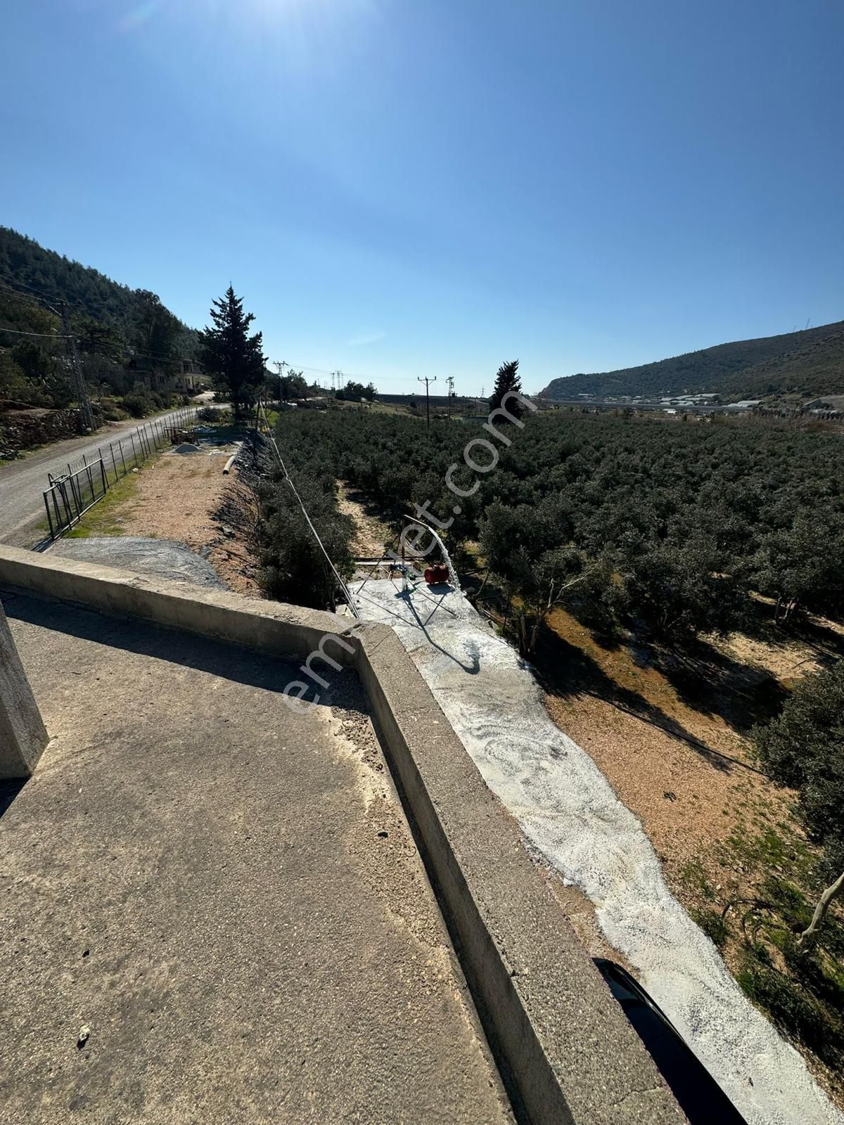 Gülnar Sipahili Satılık Zeytinlik Mersin Gülnar Sipahili Mahallesinde Anayol Kenarında Satılık Zeytin Bahçesi