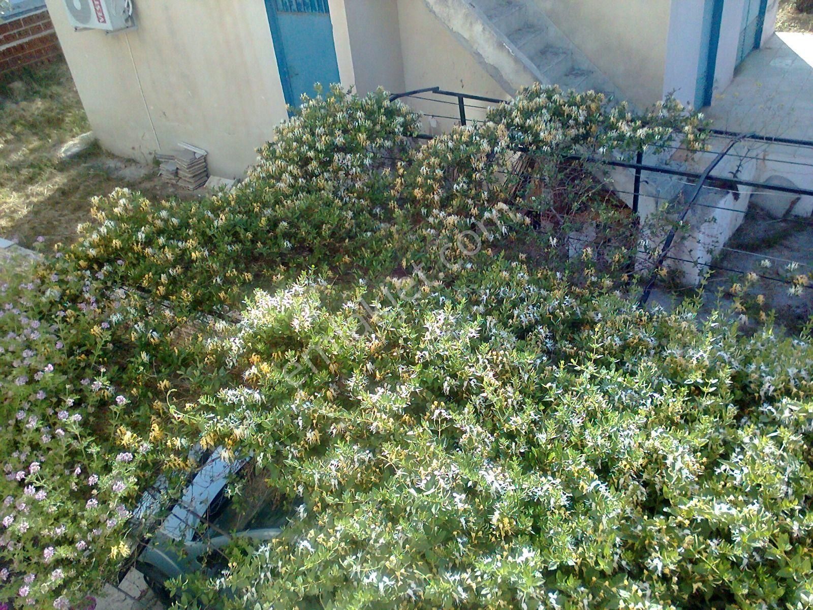 Rota Köyceğiz Gayrimenkul'den Didim'de Deniz Manzaralı Komple Satılık Bina (2 Adet 2+1 Daire) - Görsel 23