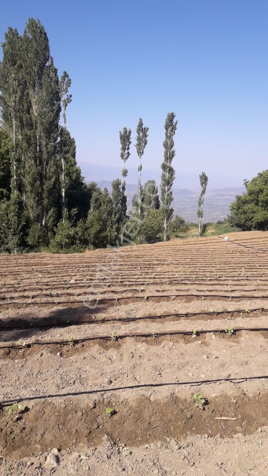 Kiraz Çayağzı Satılık Tarla Meta'dan Elektrik Su Kenarında Ana Yol Cephe Tarla