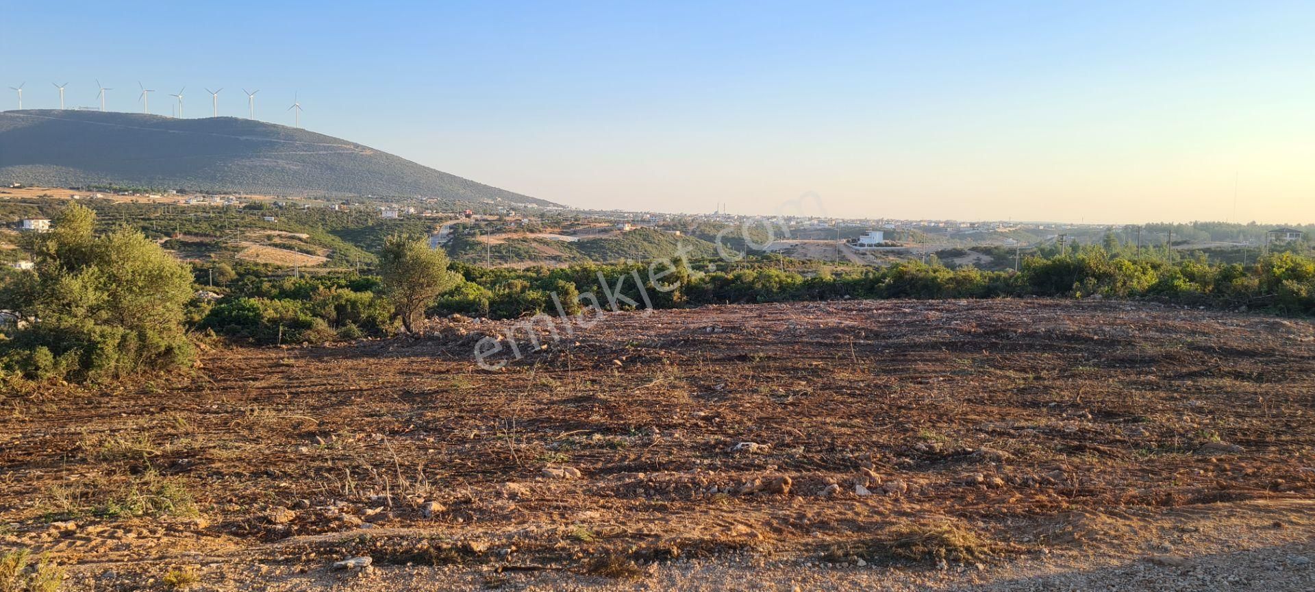 Didim Ak Yeniköy Satılık Konut İmarlı Didim De Göl Manzaralı Denize Yakın 643m2 Köşe Arsa