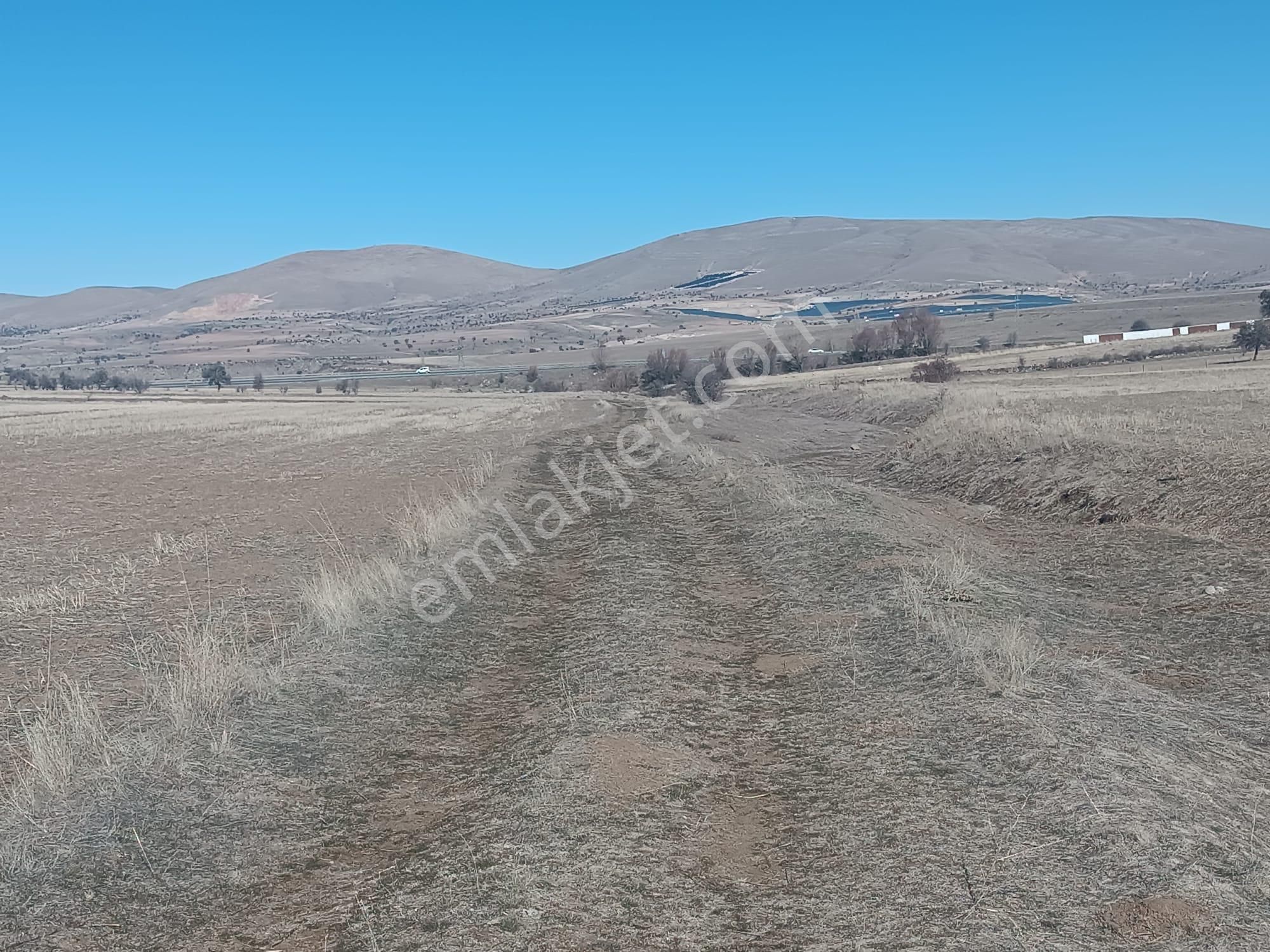 Talas Ardıç Satılık Tarla Talas Ardıç Mahallesi Rızai Taksimi Yapılmış Ev Yapımına Uygun Satılık Tarla 206/2