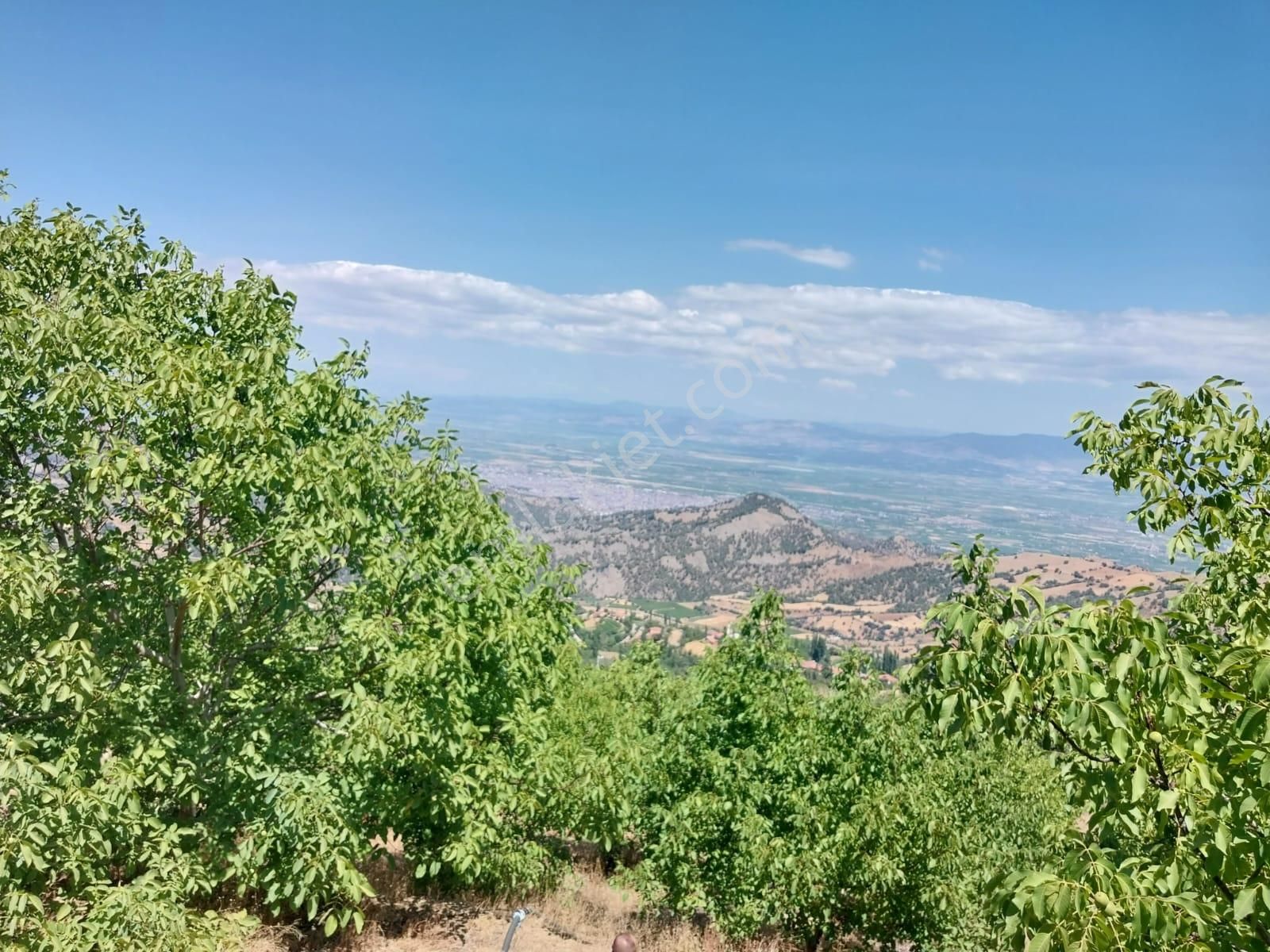 Salihli Çelikli Satılık Tarla Yuvam Gayrimenkul’den Manisa Salihli Çelikli Mah. Satılık 13397 M2 Cevizlik