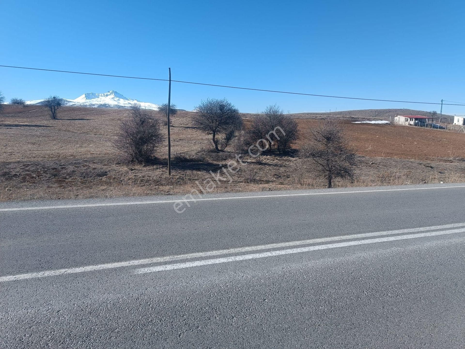 Talas Ardıç Satılık Tarla Talas Ardıç'ta Ev Yapımına Uygun Anayol Üzeri Tarla 207/3