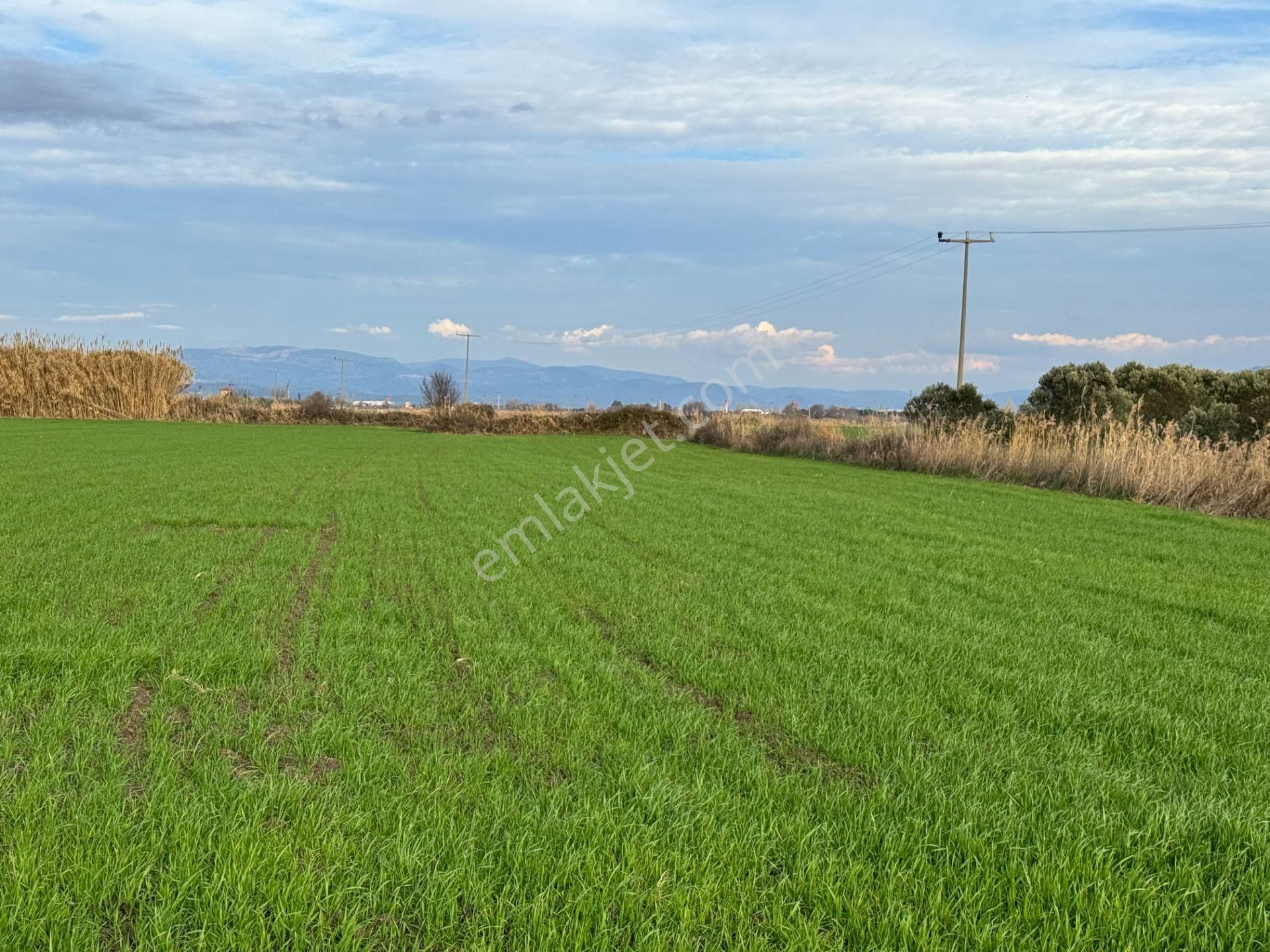 Burhaniye Çoruk Satılık Tarla Burhaniye Çoruk Mahallesinde 18.015m2 Tarla