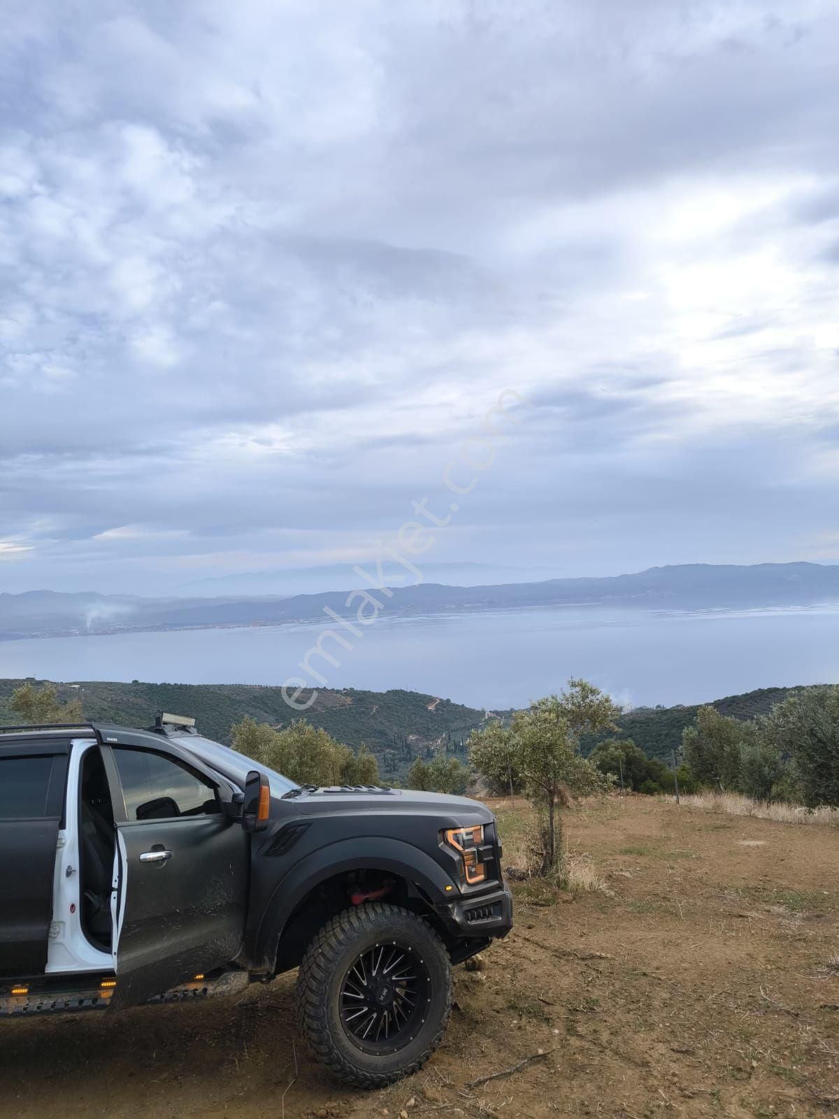 Gemlik Karacaali Satılık Tarla Gemlik Karacali Resmi Tapulu Tarla