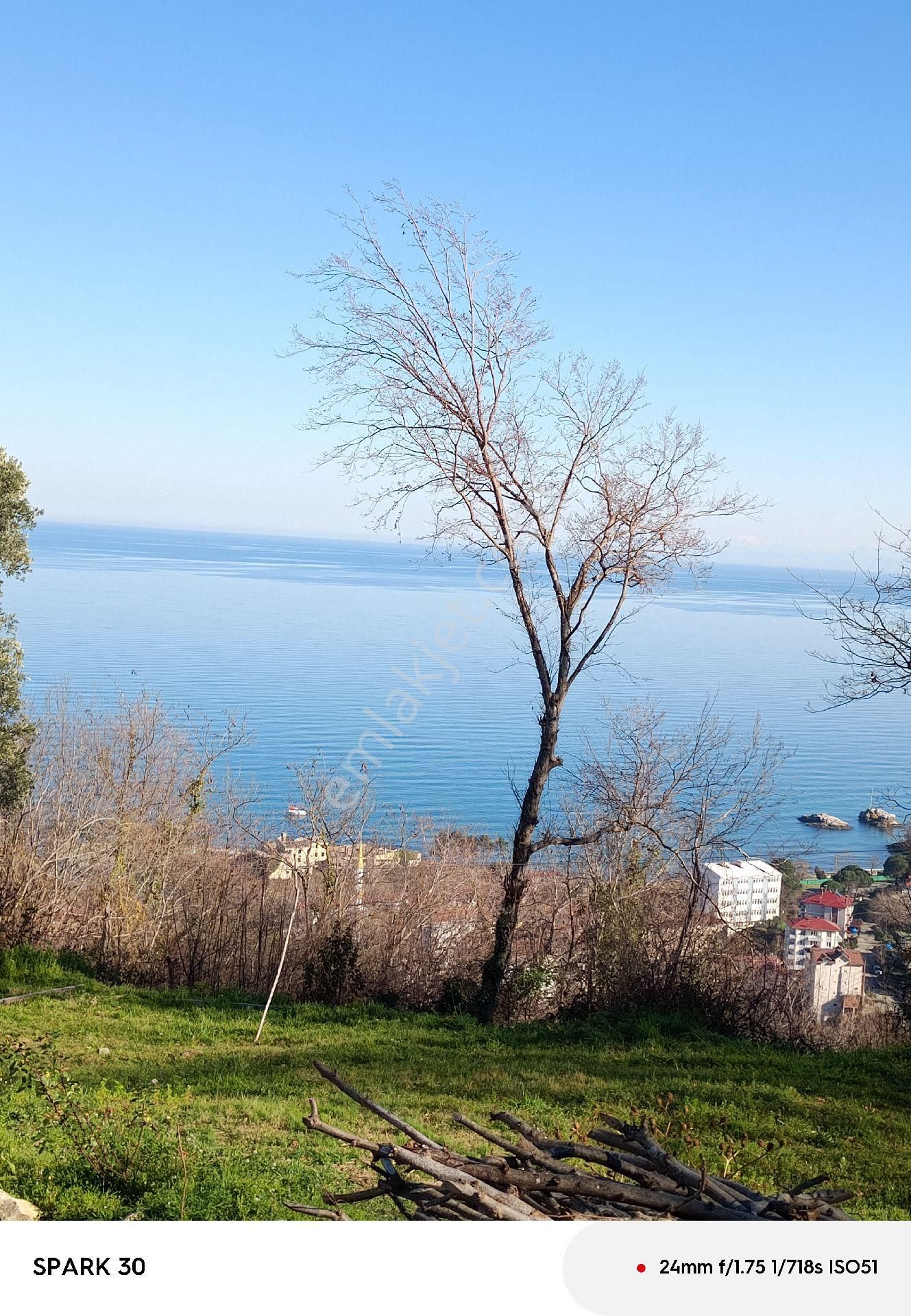 Perşembe Kacalı Satılık Konut İmarlı Perşembe Kacalı Mah Satılık İmarlı Parsel