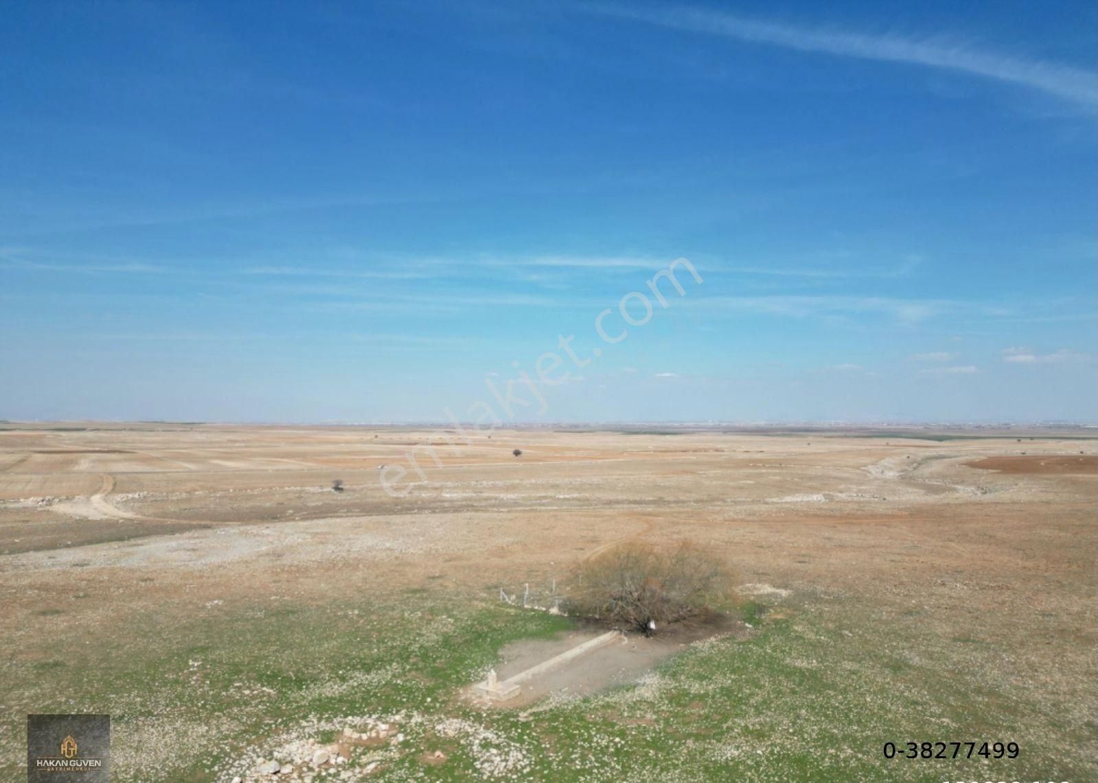 Konya Meram Kayhüyük Mevki 2 Tane 1228 M2 Tapulu Bahçe - Görsel 12