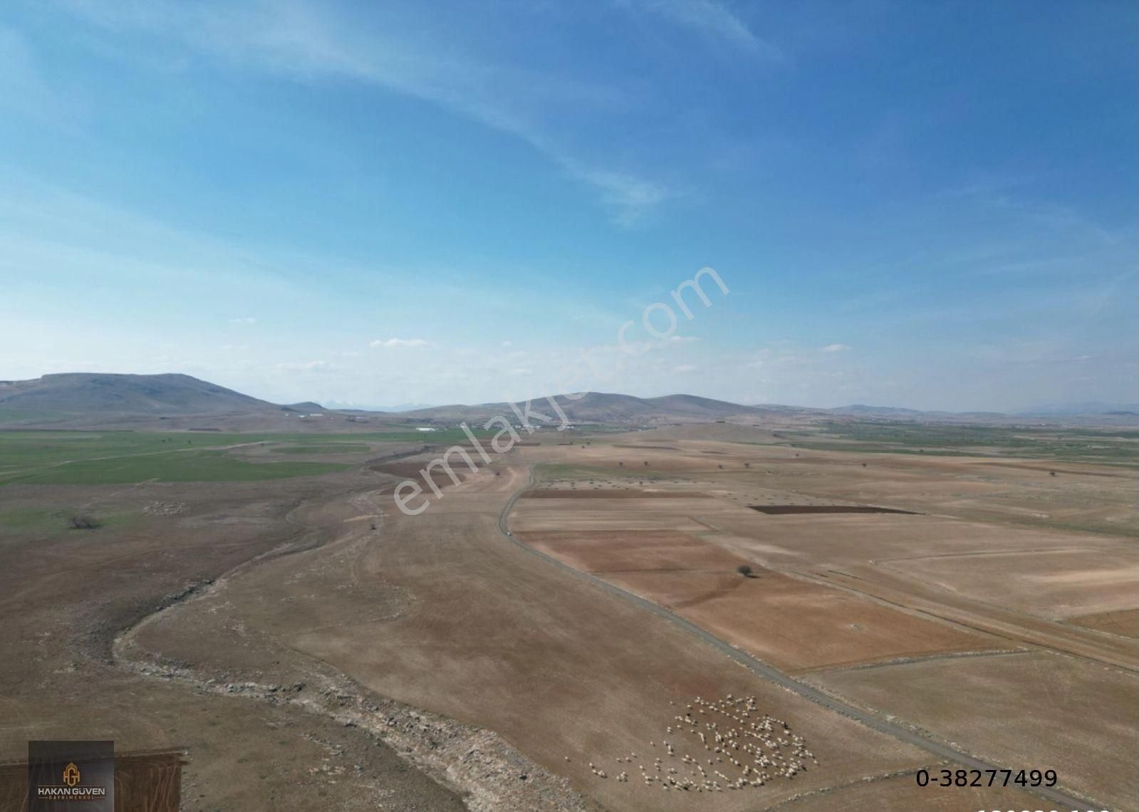 Konya Meram Kayhüyük Mevki 2 Tane 1228 M2 Tapulu Bahçe - Görsel 13