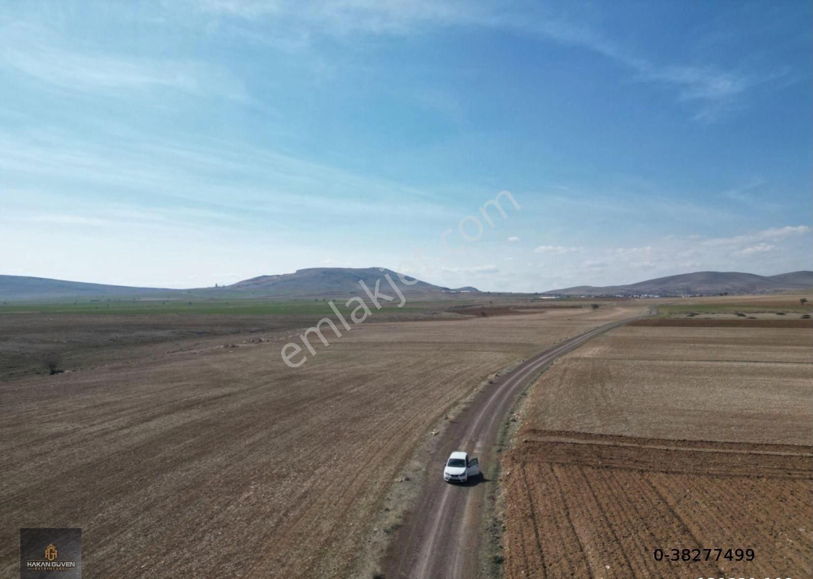 Konya Meram Kayhüyük Mevki 2 Tane 1228 M2 Tapulu Bahçe - Görsel 2