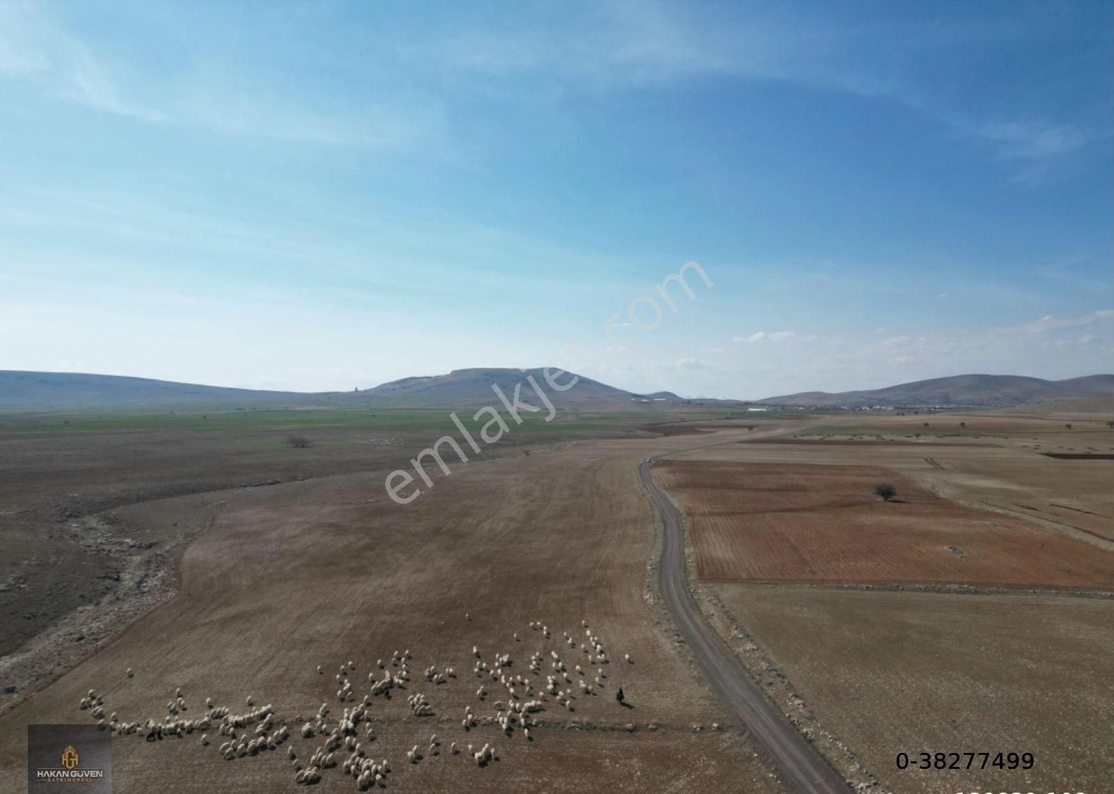 Konya Meram Kayhüyük Mevki 2 Tane 1228 M2 Tapulu Bahçe - Görsel 10