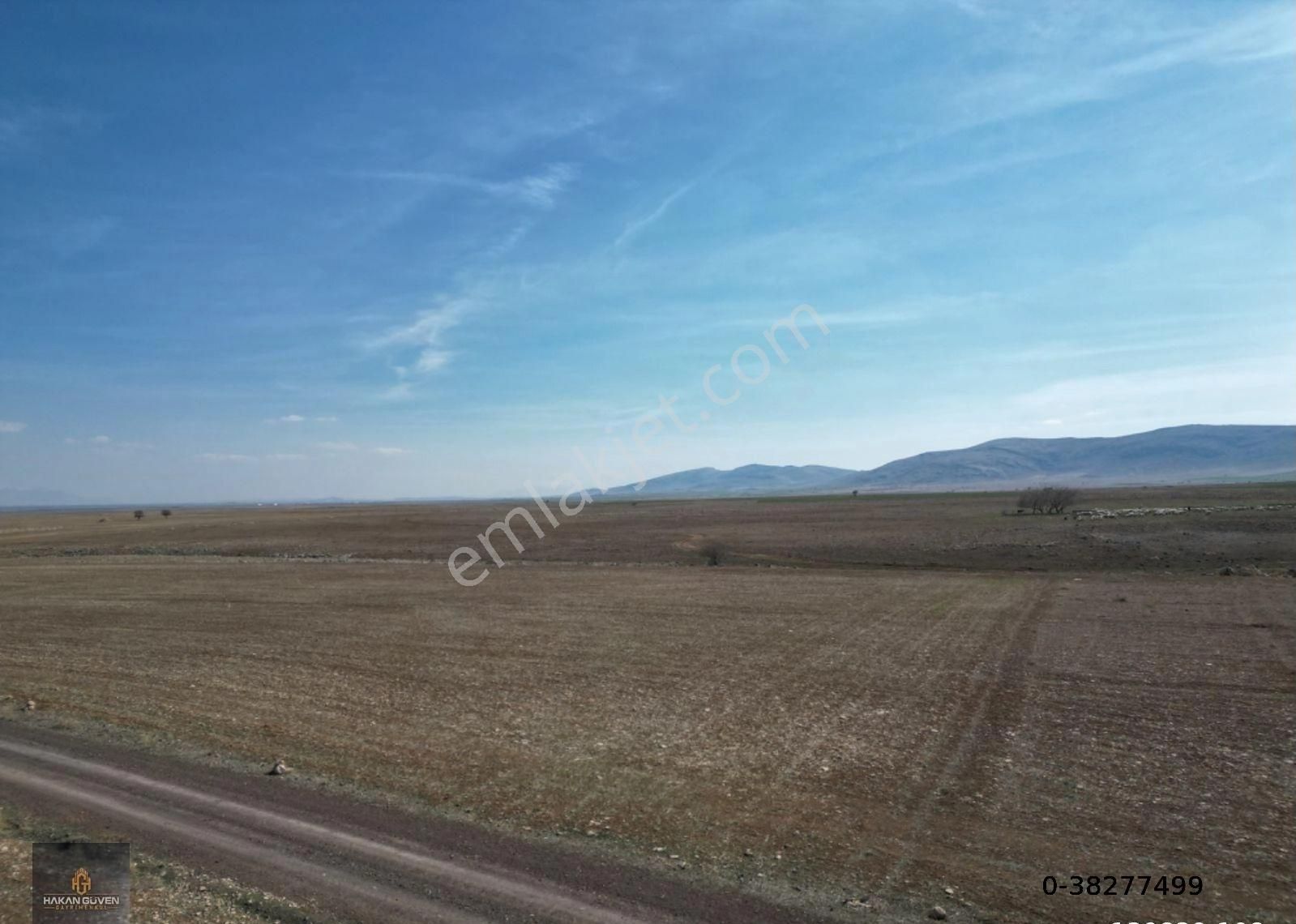 Konya Meram Kayhüyük Mevki 2 Tane 1228 M2 Tapulu Bahçe - Görsel 6