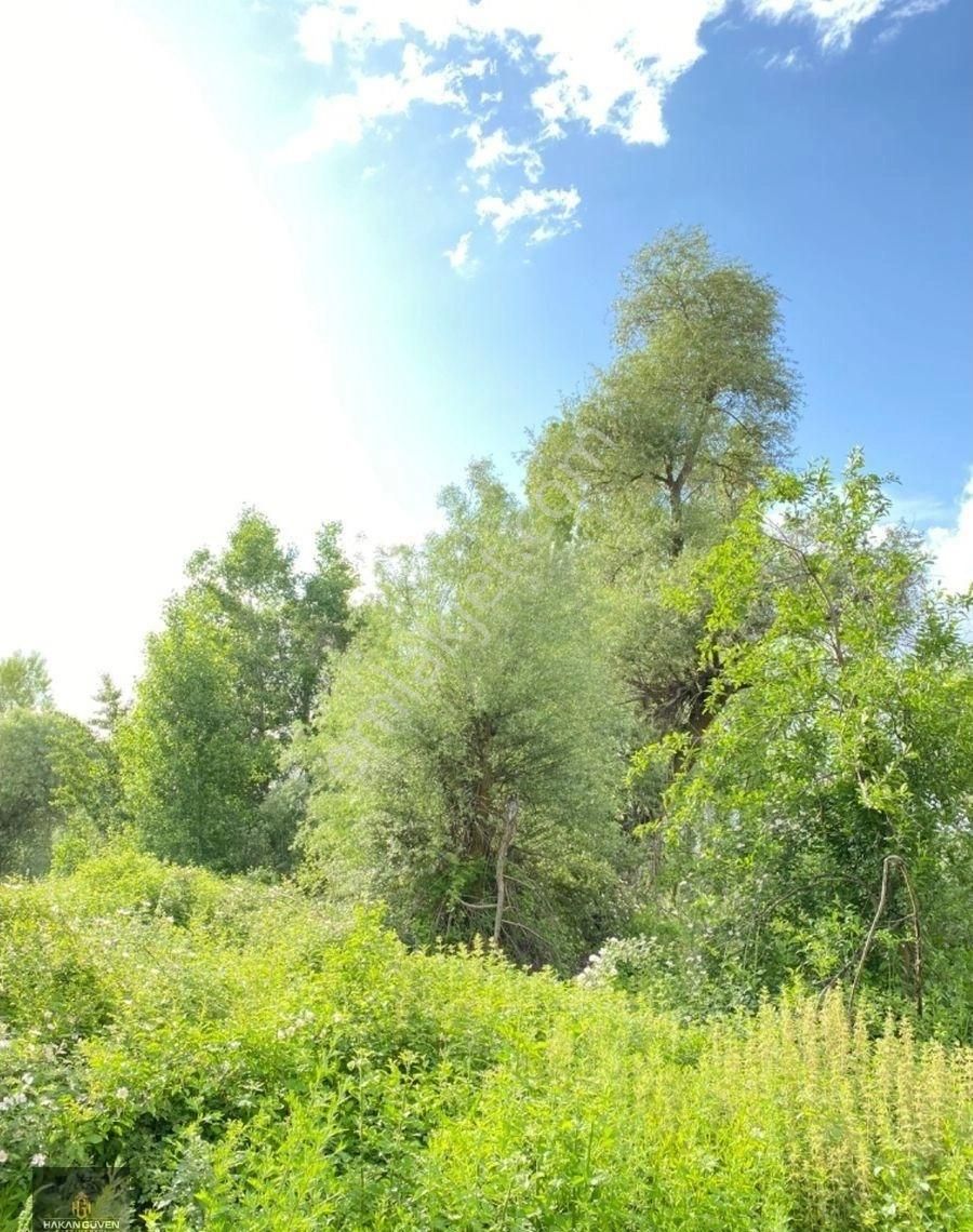 Konya Akören Satılık Bağ & Bahçe Akören Tülce En Hesaplı Bahçe 1537 M2 Bayındır Deresine Cepheli